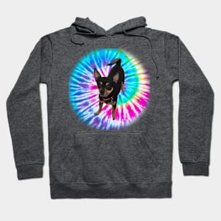 Tie-Dye chihauhau Hoodie